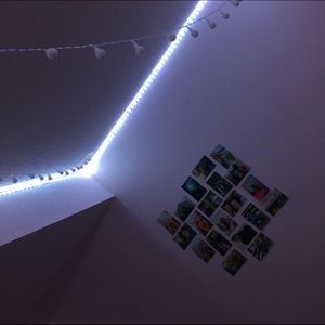 Meet your Posher, Taryn